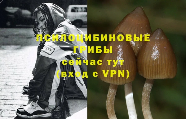 PSILOCYBIN Бугульма